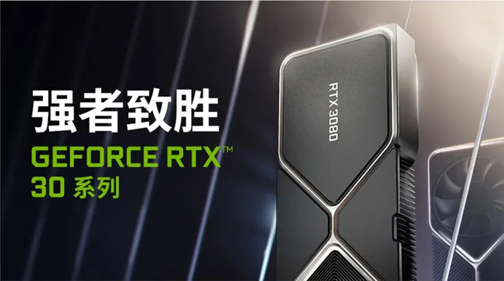 RTX 3090 24GB Public Graphics  - Rtx 3090 24Gb Graphics Card review and price